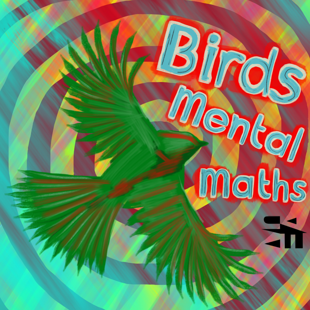 Birds Maths Birds Maths